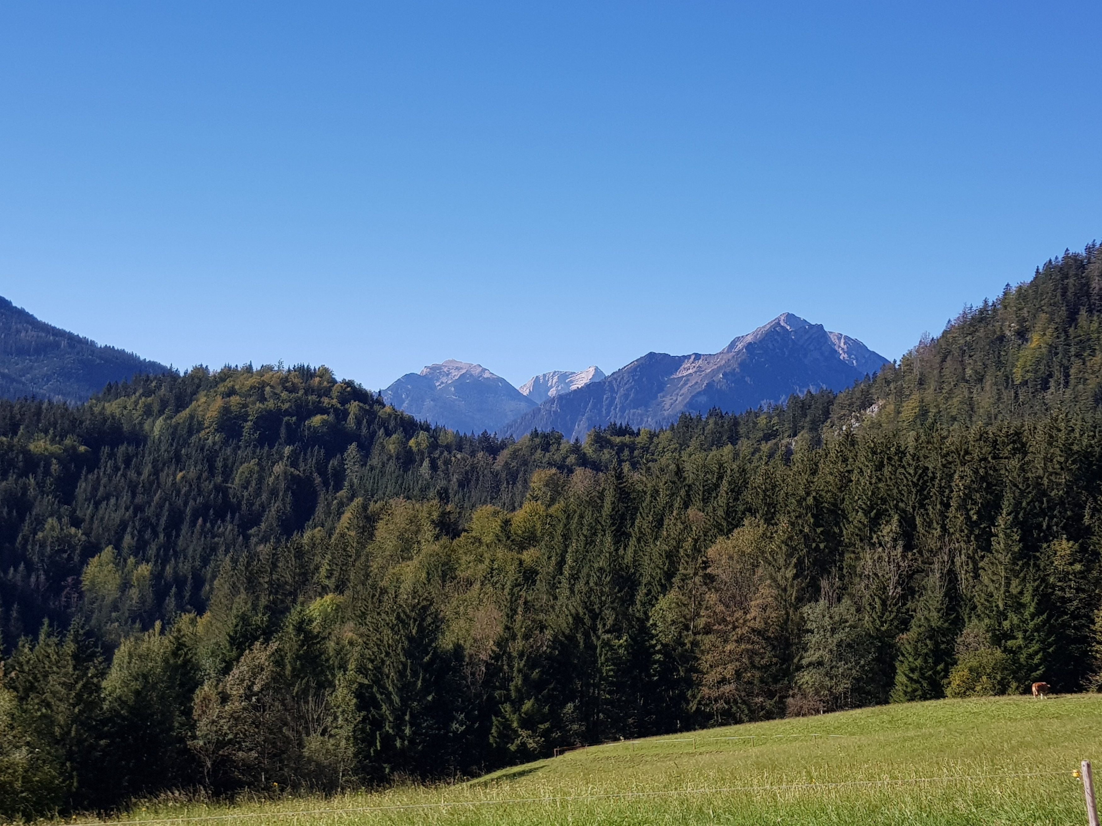 Léto