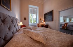 Letecký pohled na hrad Horn s červenou střechou a hodinovou věží, obklopený stromy a městem v pozadí.