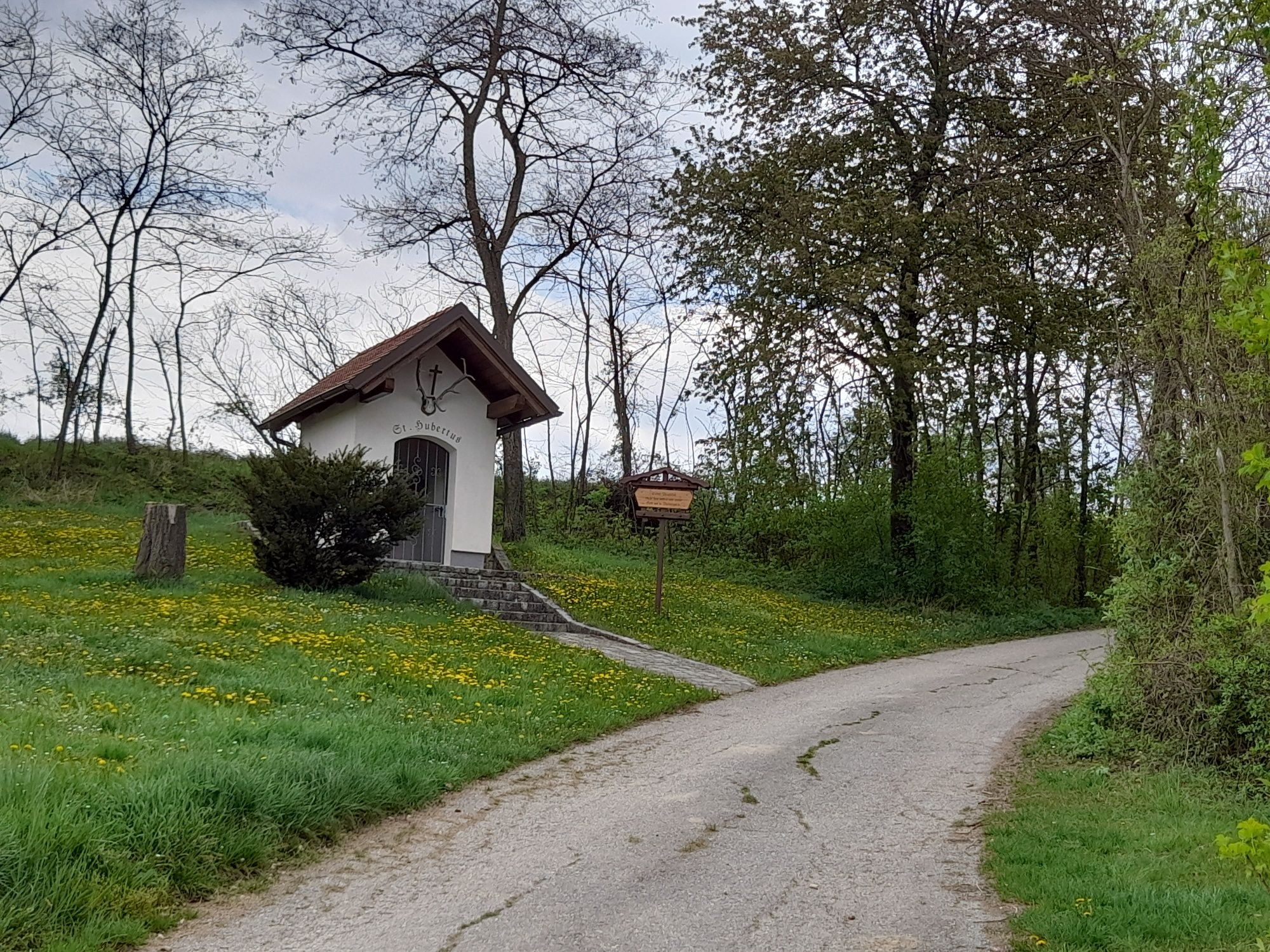 Společenství XXL-kulaté