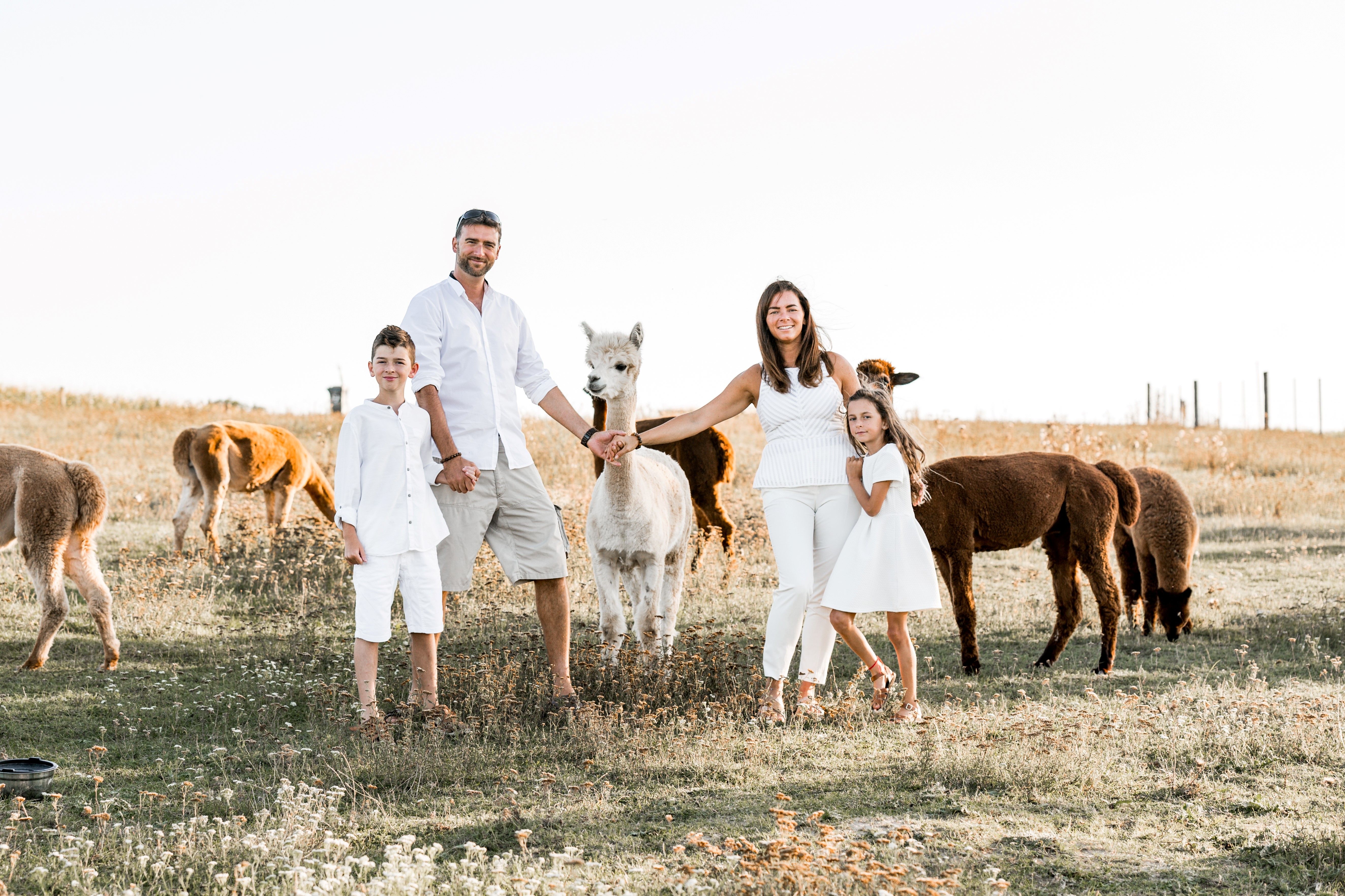 Rodina v bílém oblečení stojí na louce s alpakami.