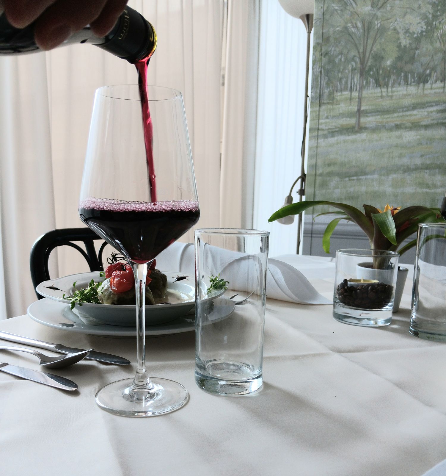 Gastronomie v lázeňském centru Ludwigstorff, víno 