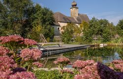 Ložnice s klenutým stropem, dřevěnou podlahou, postelí, křeslem, komodou a kožešinovým kobercem.