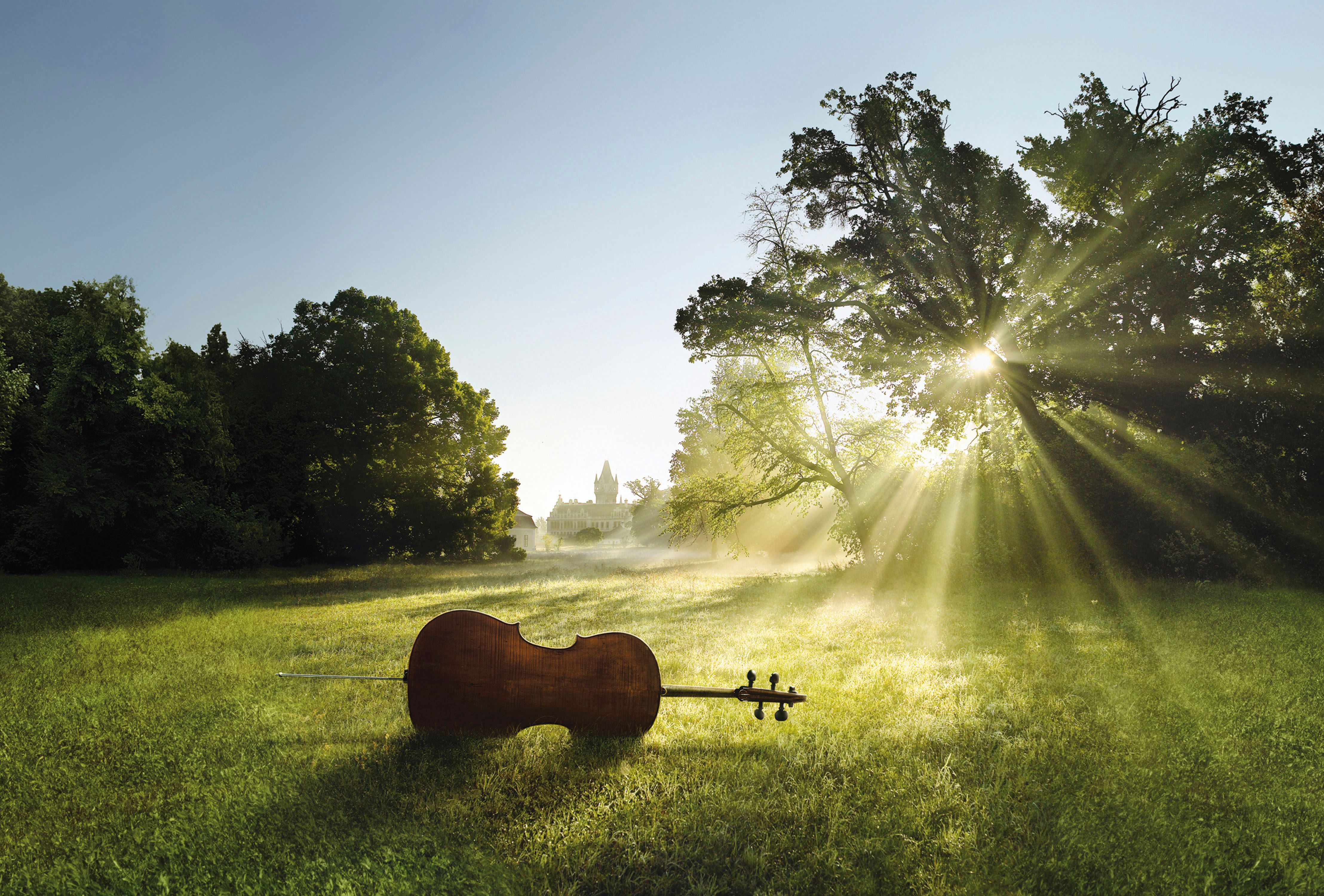 Na louce ve slunečním světle leží violoncello, v pozadí je vidět hrad.