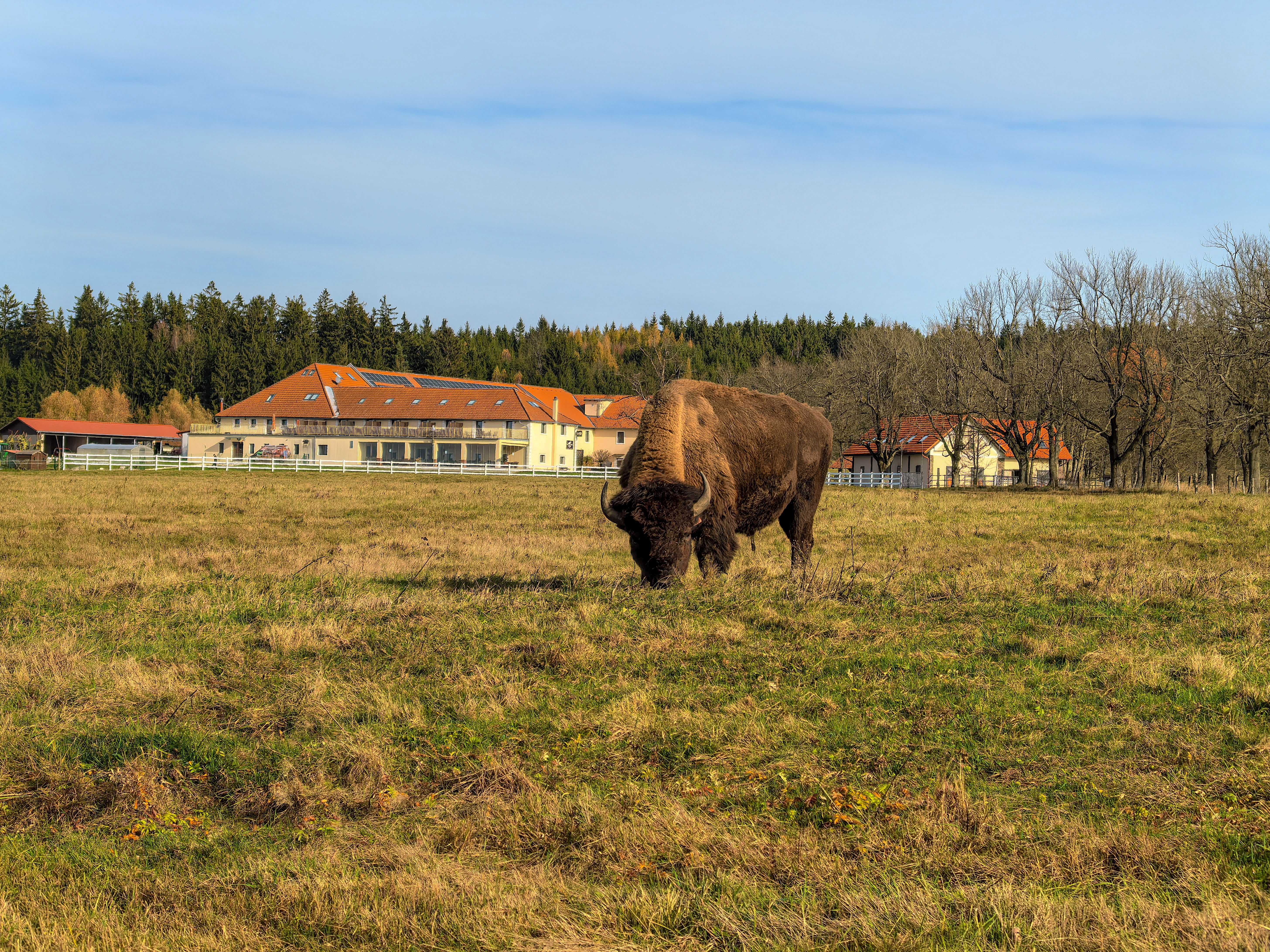 Ranč Bison