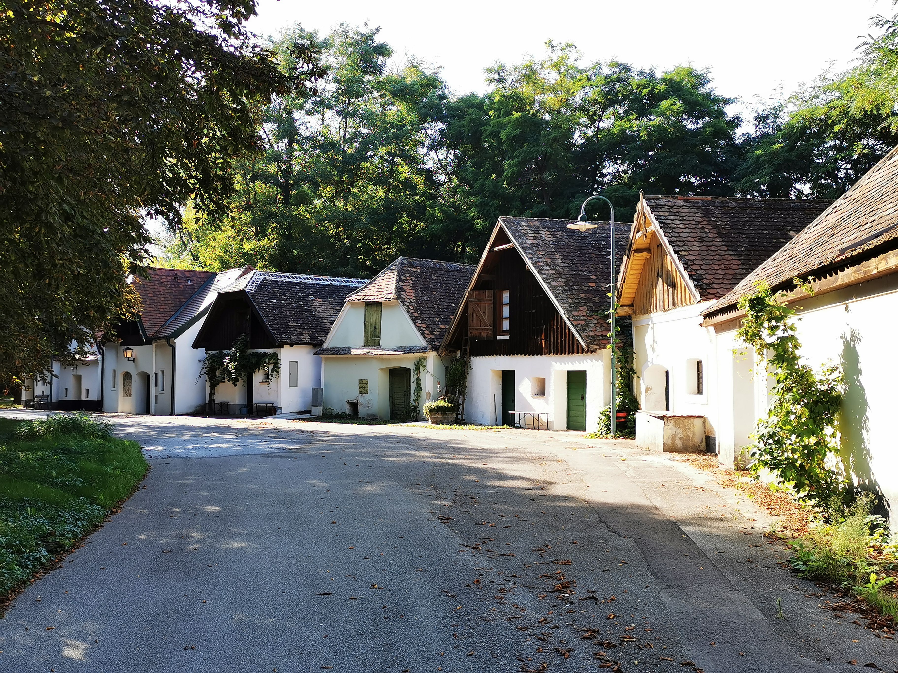 Malebná sklepní ulička s tradičními budovami a stromy v pozadí.