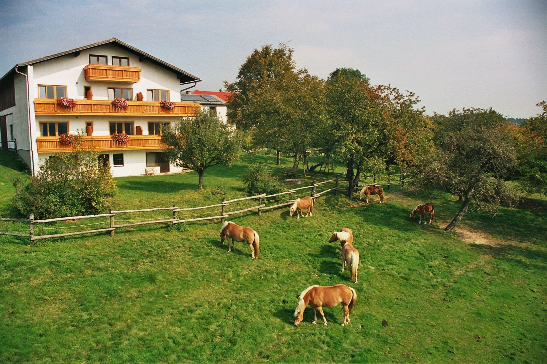 Bílý dům s dřevěnými balkony a rozkvetlými květinami, obklopený zelenou loukou s pasoucími se koňmi a stromy.