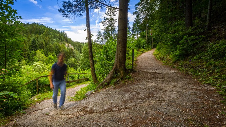 The Hermannshöhle theme trail, © Wiener Alpen, Christian Kremsl