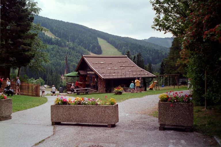 Horská chata v zelené zalesněné krajině s květinami v popředí.