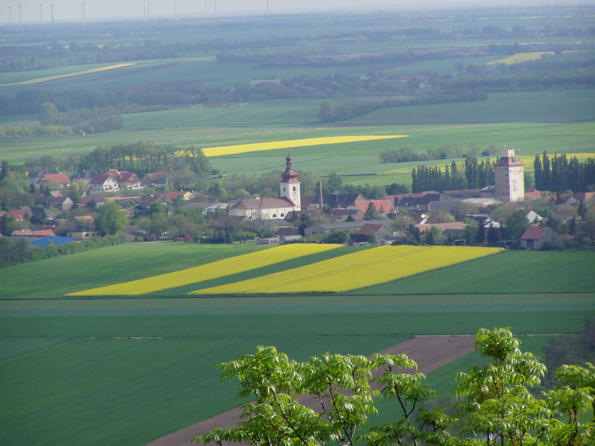 Krajina s vesnicí, kostelem a poli v Prellenkirchenu.