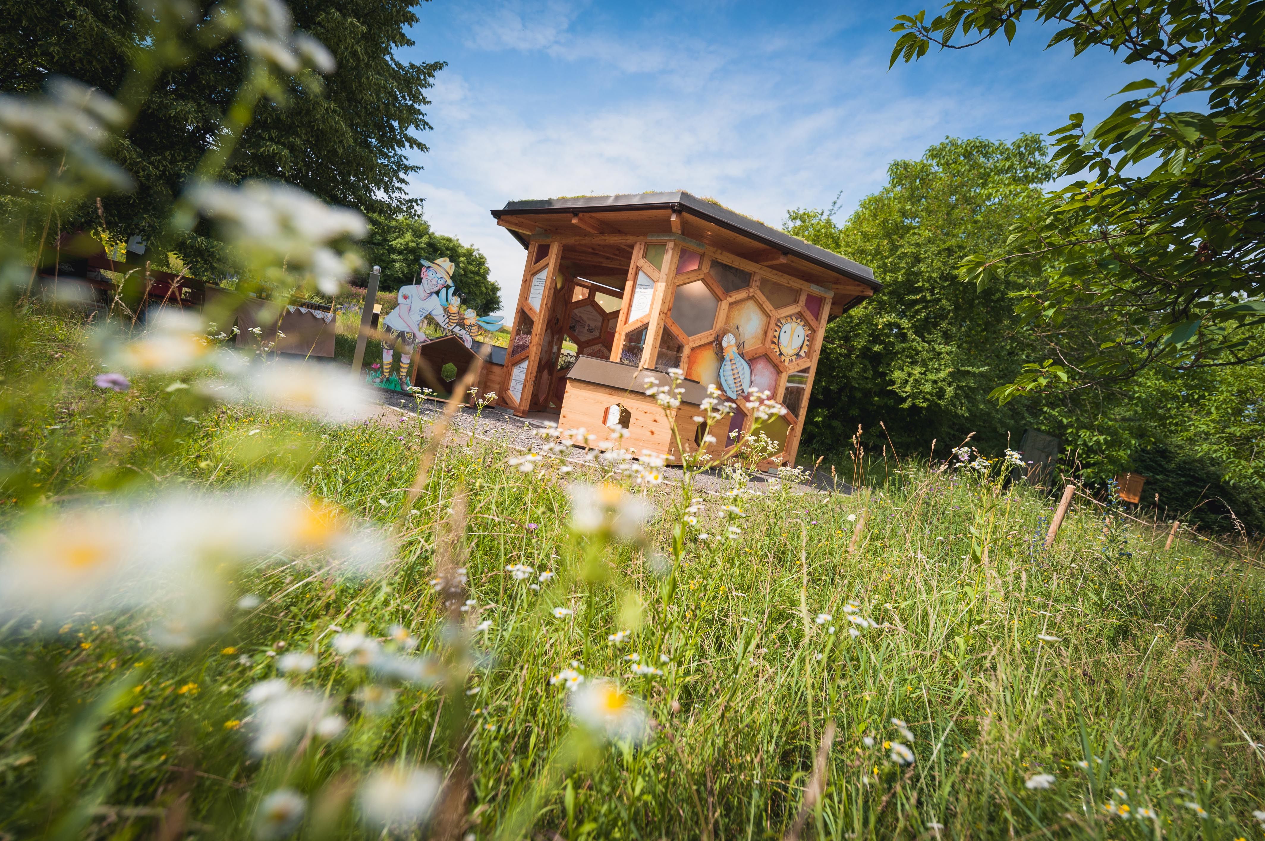 Dřevěný pavilon včel stojí na rozkvetlé louce, obklopený stromy a modrou oblohou.