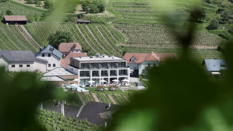 Boutique hotel obklopený vinicemi.