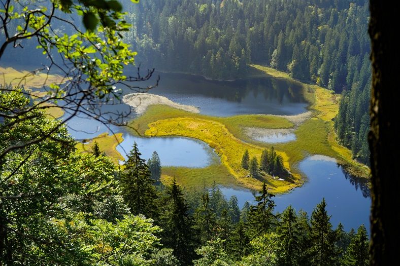 Pohled na Obersee