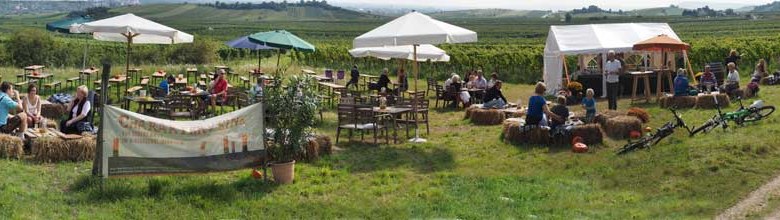Pleasure mile, © Weingut Grill Robert