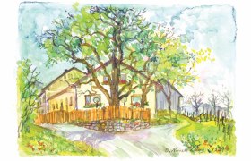 Wine tavern Schadl, © Heuriger Schadl