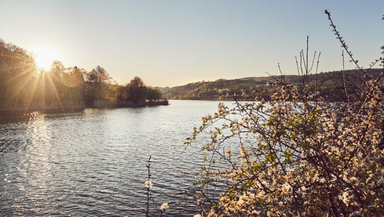 Jezero Wienerwald: největší stojatá vodní plocha v oblasti Wienerwald., © Andreas Hofer