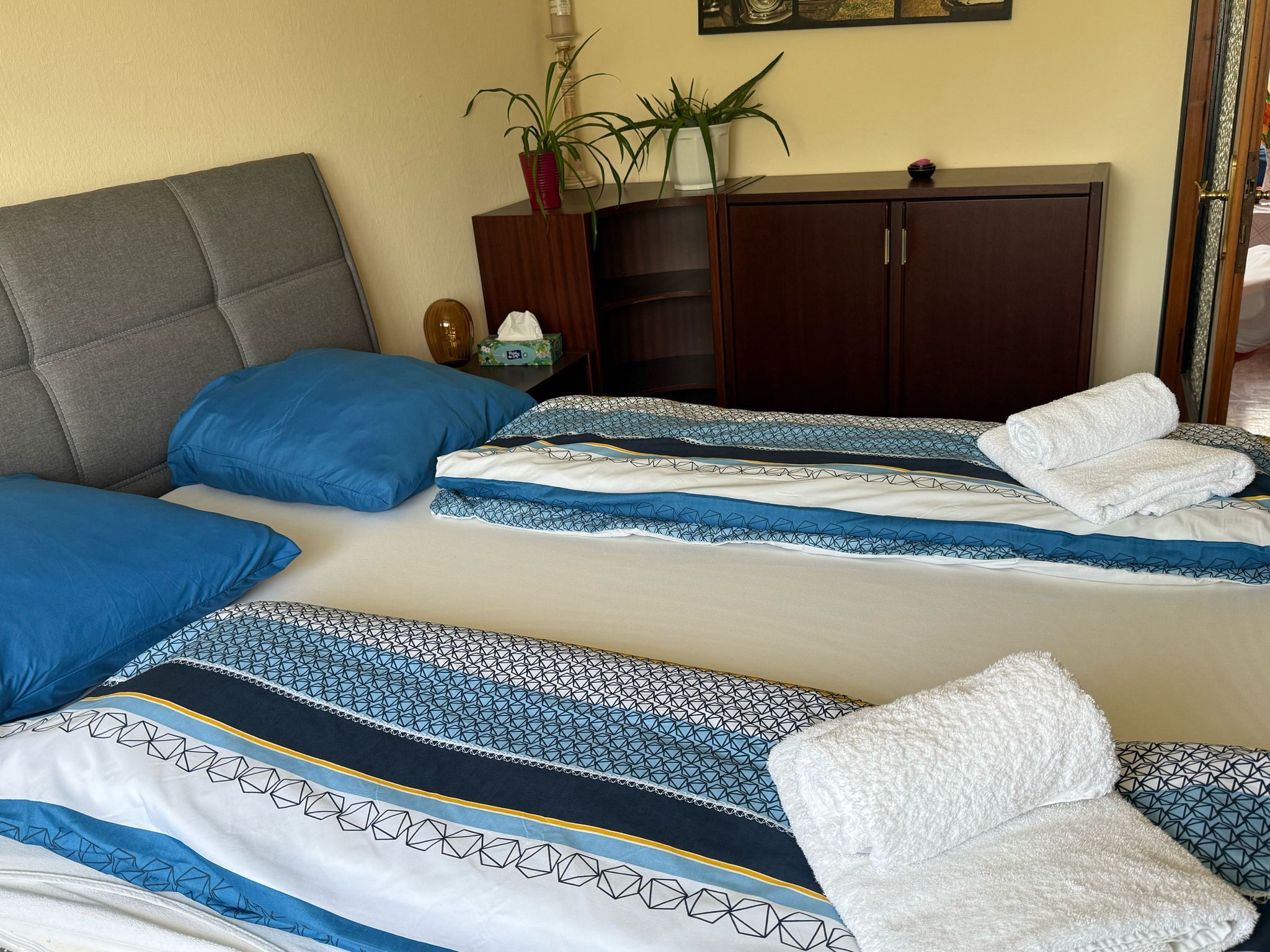 Útulná ložnice s manželskou postelí, modrým ložním prádlem a složenými ručníky. Šatní skříň s rostlinami v pozadí.