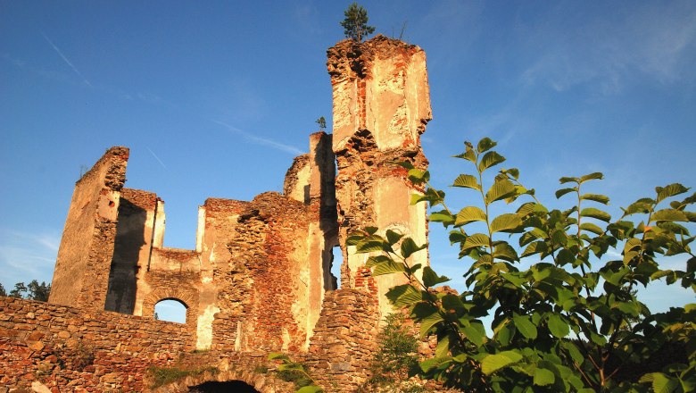 Ruine Kollmitz, &copy; Waldviertel Tourismus, Reinhard Mandl