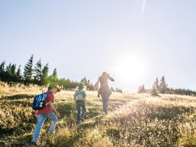 Auf der Rax, Wiener Alpen in Nieder&ouml;sterreich, &copy; Nieder&ouml;sterreich Werbung/Robert Herbst