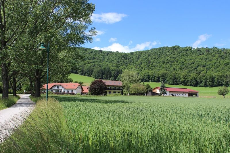 Naše farma