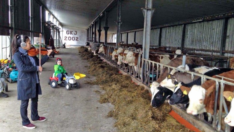 kerndlerhof_stables, © Kerndlerhof