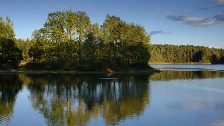 Klidný rybník se stromy odrážejícími se ve vodě v pozadí.