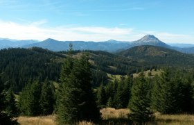 Herzerlweg Annaberg, &copy; Mostviertel