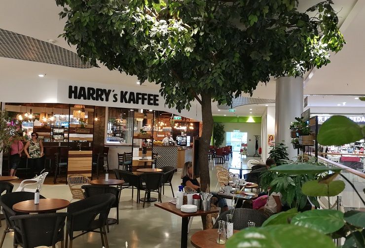 Pohled do interiéru kavárny Harry's Kaffee se stoly, židlemi a velkým umělým stromem.
