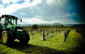 Paul Direder Winery, © Weingut Paul Direder