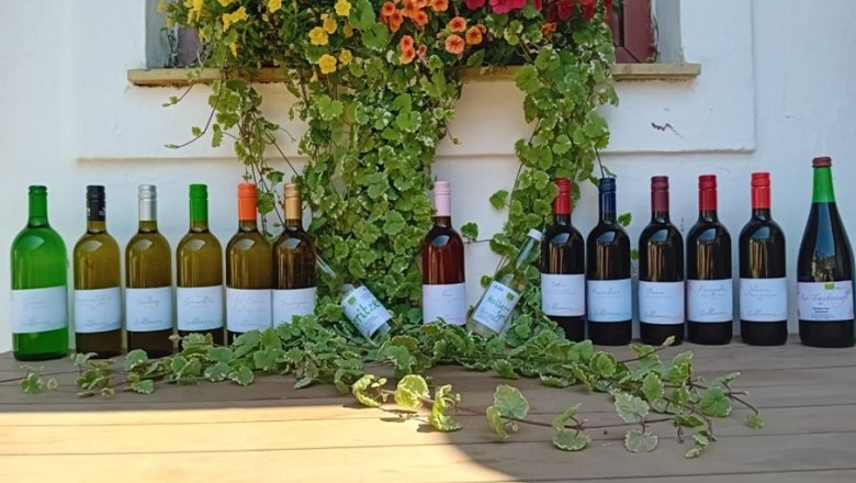 Wine bottles, © Bio Weinbau Schlemmer