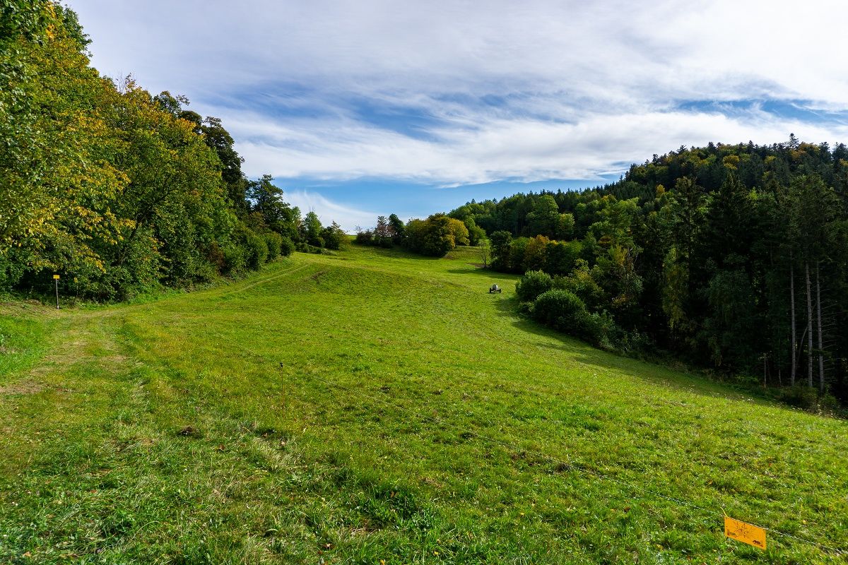 Traunfellnerova cesta
