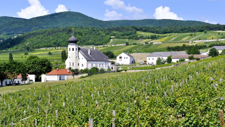 Thallern estate, © Freigut Thallern