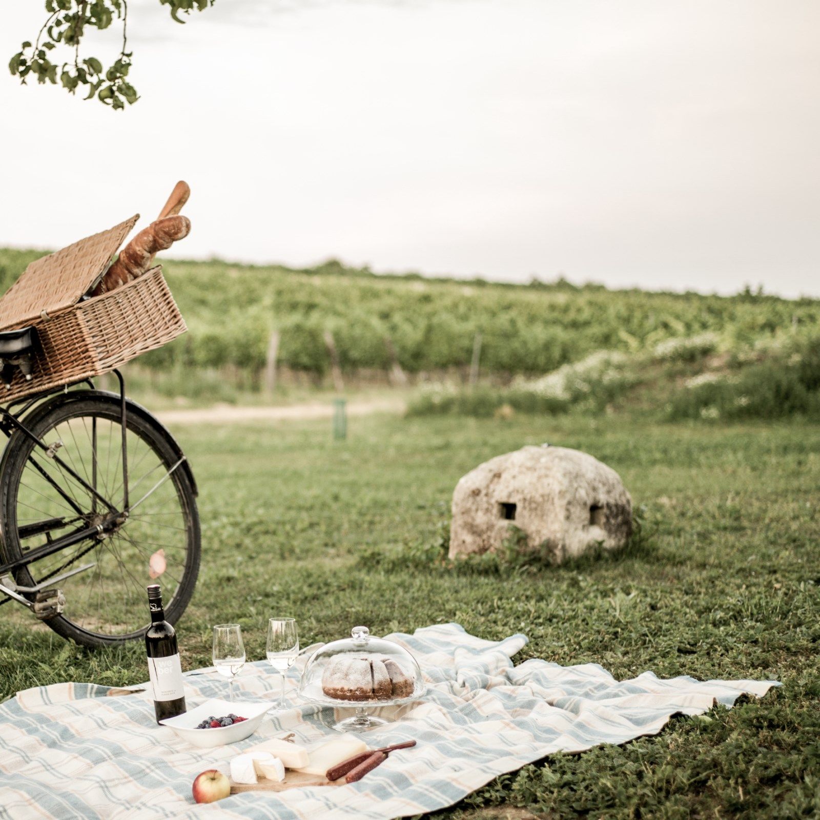 Pikniková deka s vínem, skleničkami, koláči a ovocem na louce před vinicí.