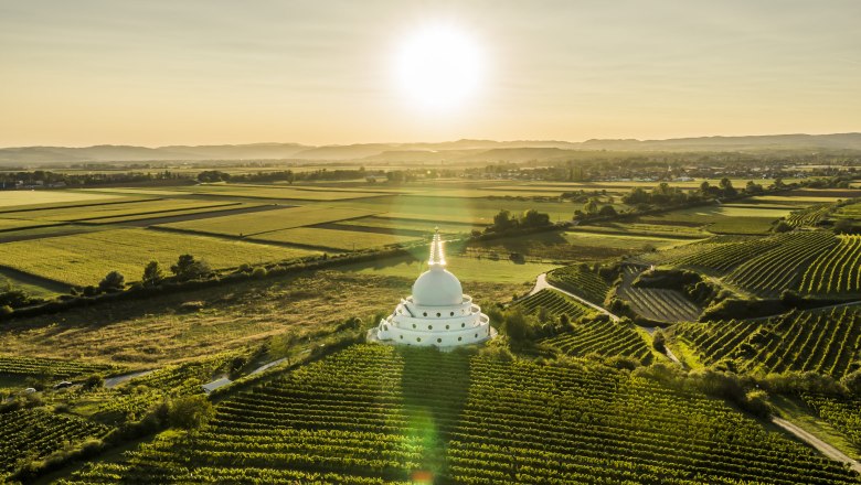 Pohled z ptač&iacute; perspektivy na st&uacute;pu uprostřed vinic