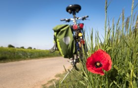 Bicycle technology Franz Walzer, © Didgeman