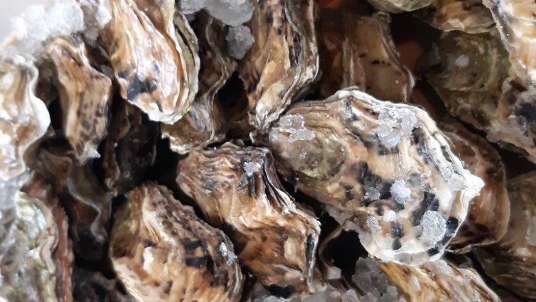 Ustrice, &copy; Reef & Beef