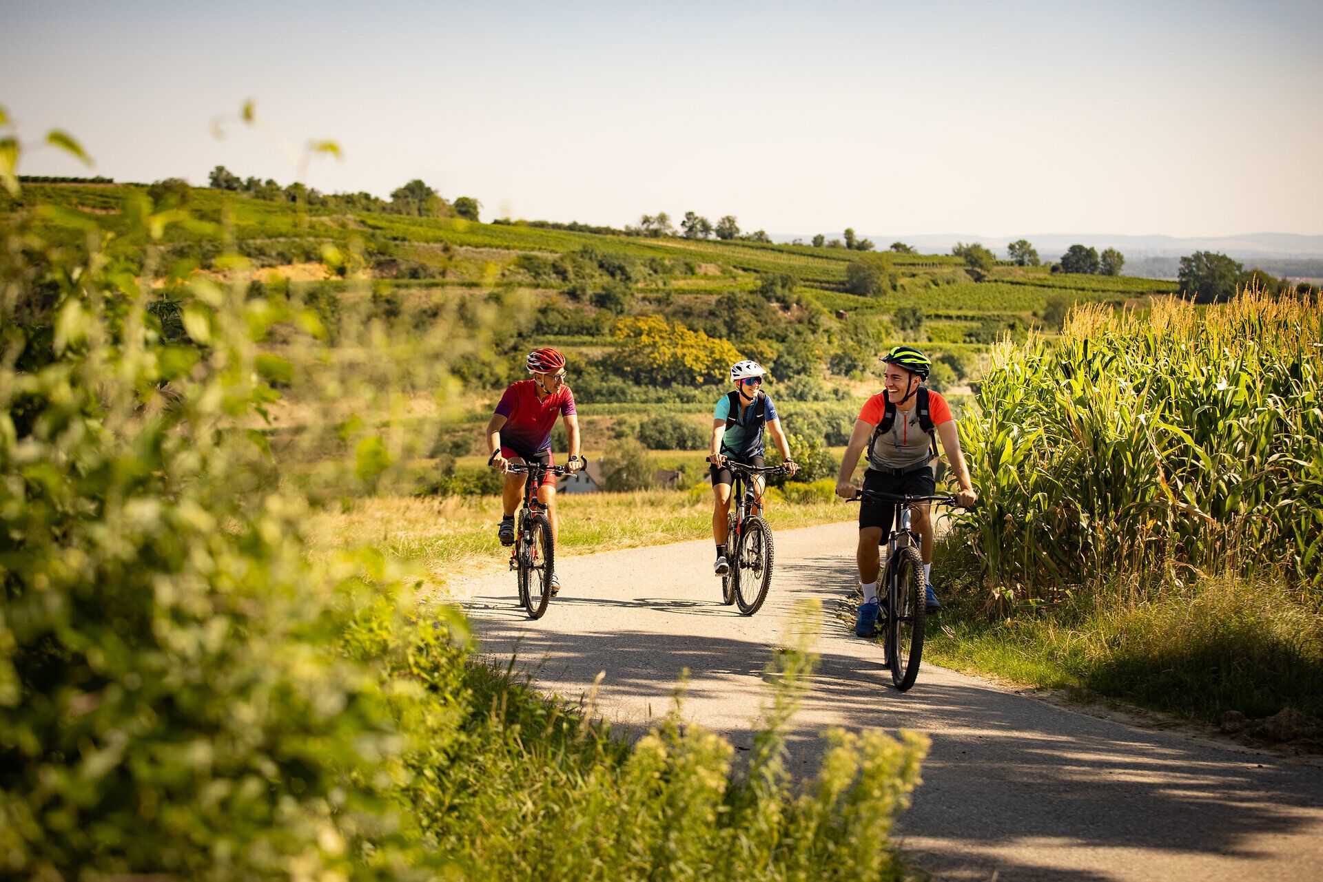 Mírné kopce vinařské oblasti lákají k osvěžující vyjížďce na horském kole. Cyklisté si užívají úchvatný výhled na vinice a idylickou krajinu, zatímco na vlastní kůži vnímají čerstvý vzduch a sluneční paprsky.