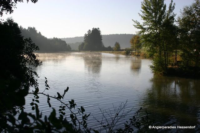 Klidné jezero v ranním světle se stromy na břehu a lehkou mlhou nad vodou.