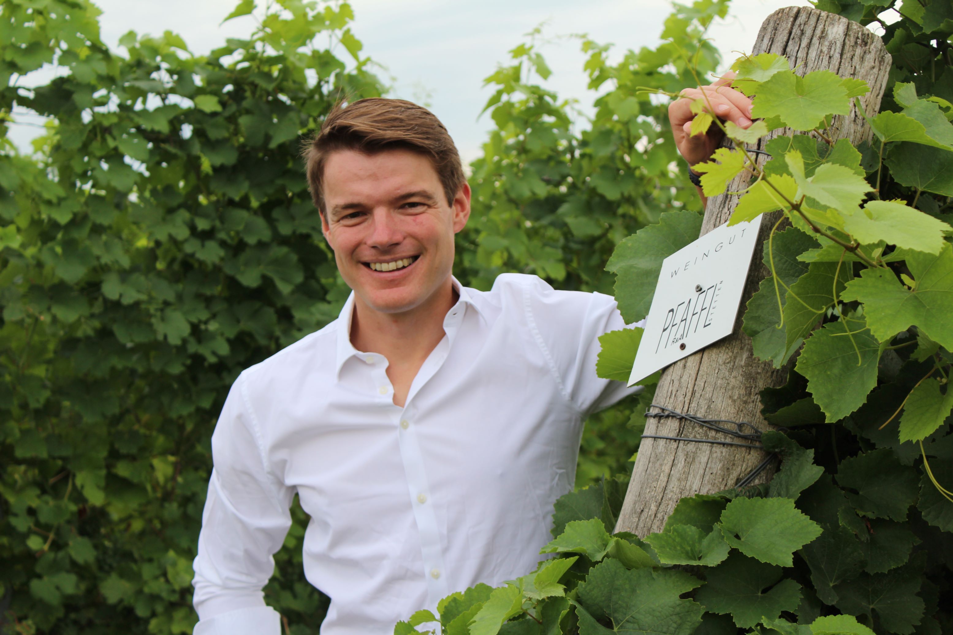 Muž na vinici vedle cedule s nápisem "Weingut Pfaffl".
