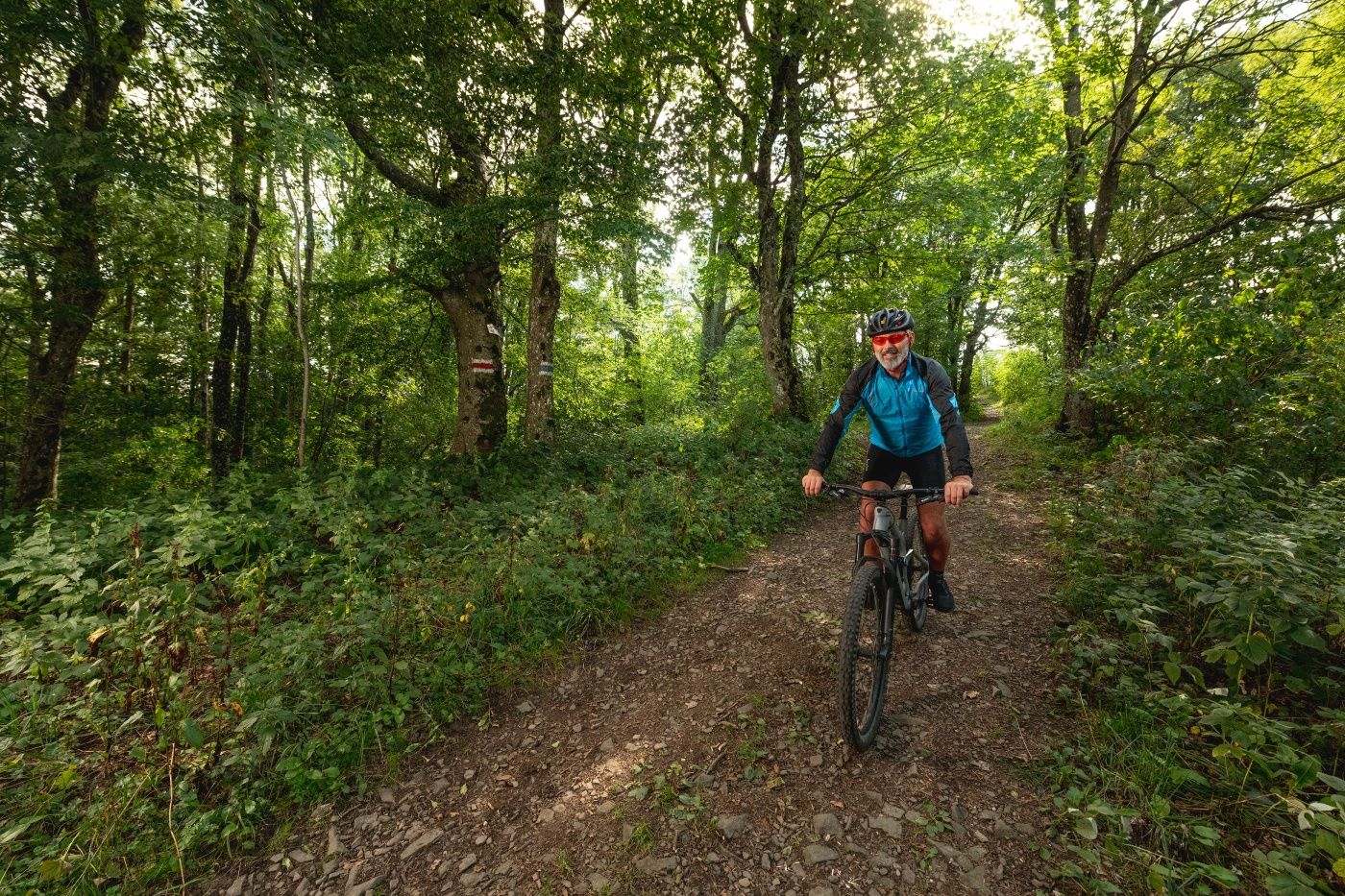 MTB Vídeňský les