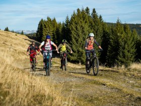 B&auml;renlacke Route by Wexl Trails #11, &copy; Wexl Trails