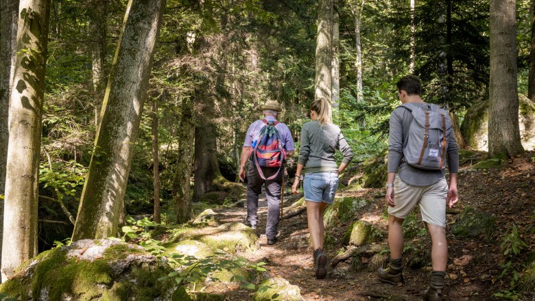 Seznamte se s historií soutěsky Ysperklamm během výletu s průvodcem., © Waldviertel Tourismus, Studio Kerschbaum