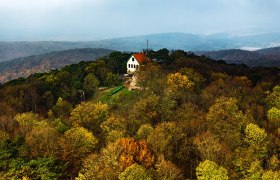 Klesheimwarte/ Rudolf-Proksch-H&uuml;tte, &copy; Unknown