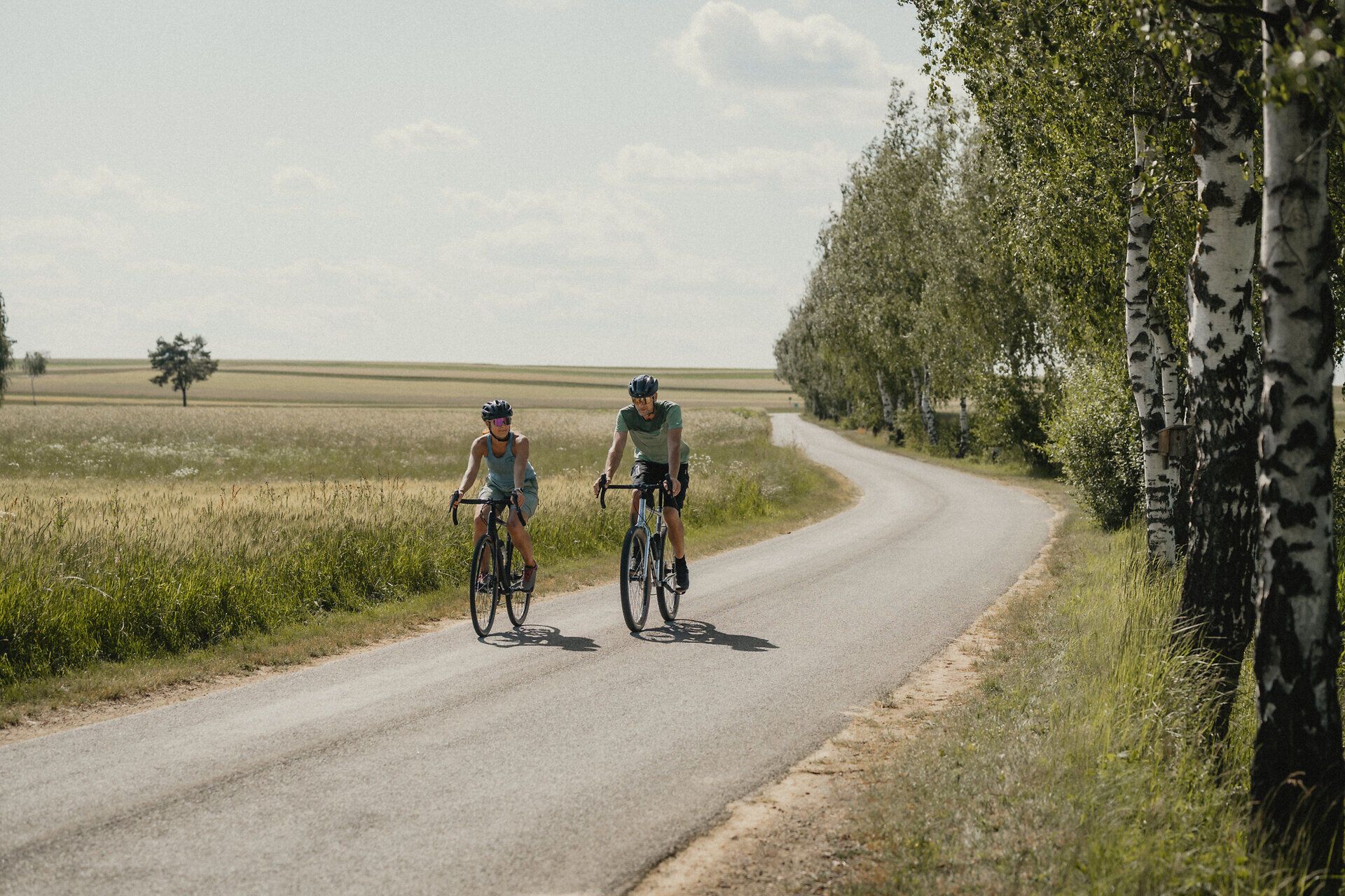 Dva cyklisté jedou v létě po silnici, na jedné straně vedle nich je alej stromů a na druhé straně kvetoucí pole.