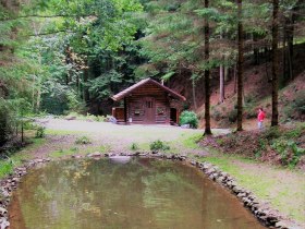 Weg zum Hohen Stein und nach M&ouml;ltern, &copy; Wiener Alpen in Nieder&ouml;sterreich - Bad Sch&ouml;nau