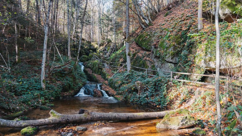 Ysper Gorge, © Waldviertel Tourismus, Line Sulzbacher