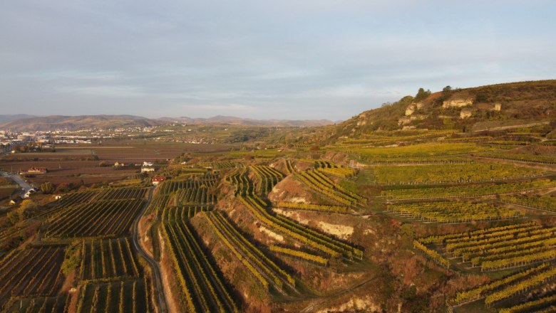 The Rohrendorfer Gebling vineyard, © Weingut Mittelbach