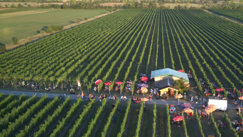 Weihathuette Landauer-Gisperg, &copy; Winzerhof Landauer-Gisperg