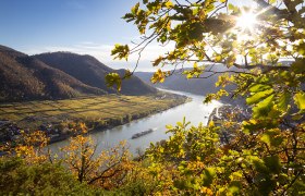 Welterbesteig Wachau - St. Michael, © Donau Niederösterreich / Barbara Elser