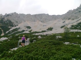 in der Breiten Ries, &copy; Wiener Alpen in Nieder&ouml;sterreich - Schneeberg Hohe Wand