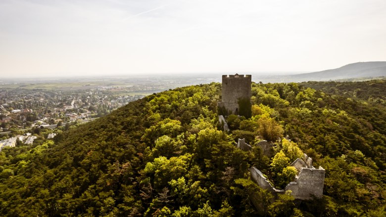 Helenental se zříceninou hradu Rauheneck, © Robert Herbst